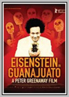 Eisenstein-in-Guanajuato