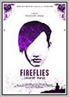 Fireflies Fireflies