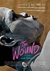 The Wound