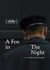 A Fox In The Night
