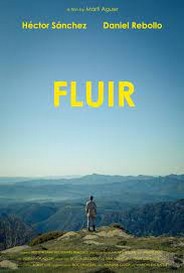 Fluir 2019