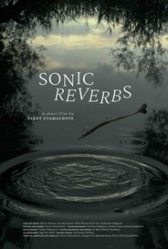 Sonic Reverbs