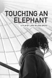 Touching An Elephant