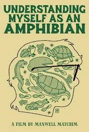 Understanding Myself As An Amphibian