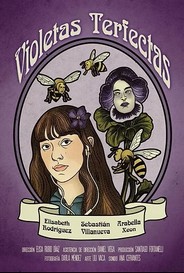 Violetas Terfectas