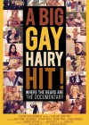 A-Big-Gay-Hairy-Hit.jpg