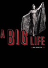 Big Life (A)