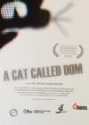 Cat Called Dom (A)