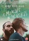 Moment in the Reeds (A)