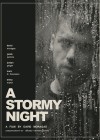 A-Stormy-Night-2020c.jpg