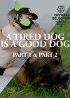 Tired Dog is a Good Dog Parts 1 & 2 (A)