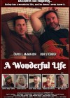 Wonderful Life (A)