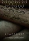 Anacondas-Andres-Villa.jpg