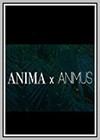 Anima X Animus
