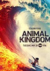Animal-Kingdom3.jpg