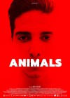 Animals.jpg