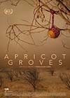 Apricot-Groves.jpg