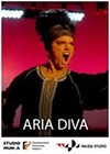 Aria-Diva2.jpg