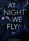 At-Night-We-Fly.jpg