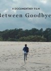 Between Goodbyes