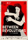 Between Revolutions