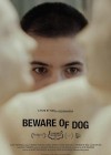 Beware-of-Dog2.jpg