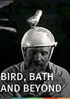 Bird-Bath-and-Beyond.jpg