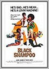 Black Shampoo