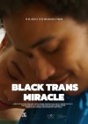Black Trans Miracle