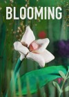 Blooming.jpg