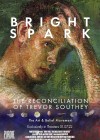 Bright Spark: The Reconciliation of Trevor Southey