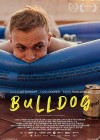 Bulldog-2022.jpg