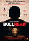 Bullhead3.jpg