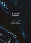 Burrow-2023.jpg