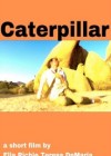 Caterpillar.jpg