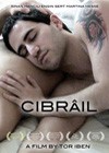 Cibrail2011.jpg