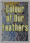 Color of Our Feathers (The)