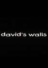 Davids-Wall.jpg