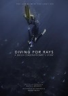 Diving for Rays: A Queer Conservationist's Story