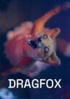 Dragfox.jpg