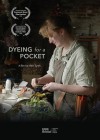 Dyeing for a Pocket