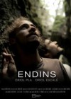 Endins
