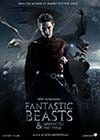 Fantastic-Beasts13.jpg