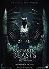 Fantastic-Beasts17.jpg