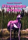 Flamingo-Pride.jpg