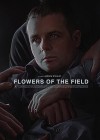 Flowers of the Field