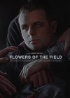 Flowers-of-the-Field.jpg