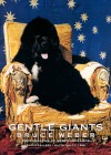 Gentle-Giants.jpg