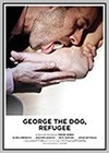 George the dog, refugee