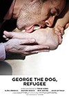 George-the-dog-refugee.jpg